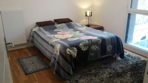 Appartement moderne et cosy au coeur du quartier montplaisir, avec de nombreux c Lyon, France Grande chambre cosy vue sur jardin Private room in rental unit vacation rental 29793606