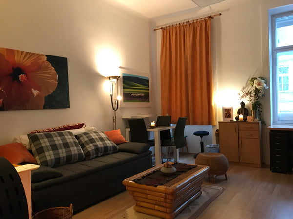 This is a cozy one bedroom studio apartment in an amazing location in Vienna! Th Lake Forest, IL Studio in the city center Entire rental unit vacation rental 23745322