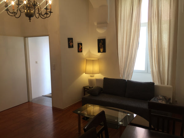 Our cosy one bedroom apartment  is located in recently renovated house of the 19 Austria Airconditioned apart in city center Entire rental unit vacation rental 9381350