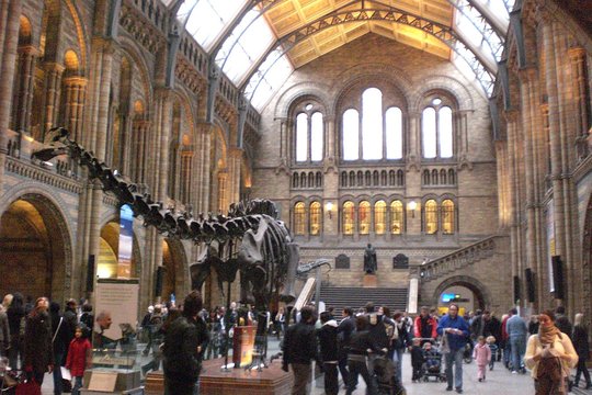 London Natural History Museum with Dinosaurs Gallery Private Tour for Kids  Private Tours and Travel Guide Europe London CITY London Destination Tour