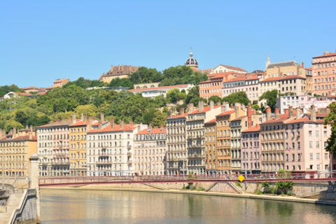 Appartement spacieux et lumineux, avec vue superbe directe sur la Saône, en plei Lyon, France Appartement lumineux au bord de la Saône. 80m2 Private room in rental unit vacation rental 36686167