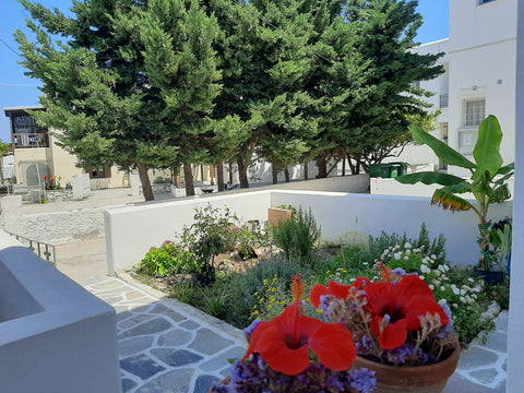 350m from the port and the heart of the town, 200m from the sea , near all the c Greece Brand new cozy town house Entire rental unit vacation rental 50220189