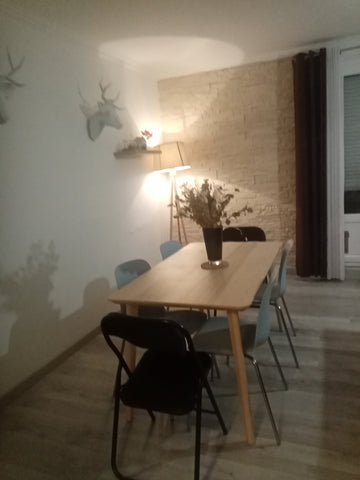 Appartement à moins de 500 mètres du tram T3 et au pied de l'arrêt de bus menant  Villeurbanne : superbe appartement Entire rental unit vacation rental 750466125428102330