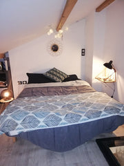 Une déco moderne et cozy, une vue dégagée et sans vis-à-vis... bref ce petit lof Écully, France Loft cozy à la croix rousse Entire loft vacation rental 29867763