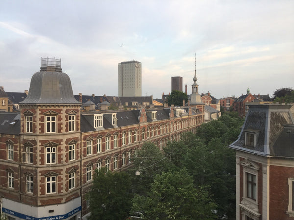 The apartment is placed in the center of Frederiksberg very close to Vesterbro.< Denmark Big, bright and cosy two storey apartment Entire rental unit vacation rental 13168769