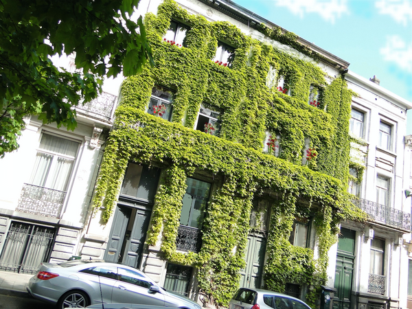 Large Apart 1XBed  in city center.(extended stays)This house is perfect and idea Brussels, Belgium 1°Garden Flat Center 1XBed Yes extended stays HERE Entire condo vacation rental 14798913