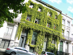 Large Apart 1XBed  in city center.(extended stays)This house is perfect and idea Brussels, Belgium 1°Garden Flat Center 1XBed Yes extended stays HERE Entire condo vacation rental 14798913