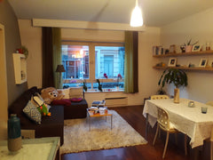 Cozy 55sqm fully-equipped flat in a modern building, located in a quiet street.  Brussels, Belgium Cozy one-bedroom apartment located in fancy area Entire rental unit vacation rental 33414519