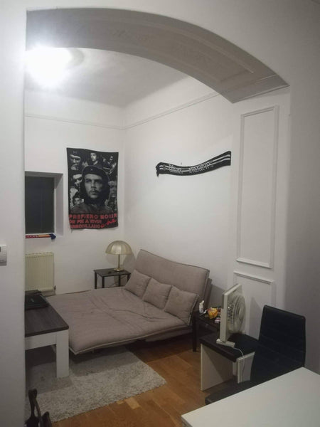 I rent my little but spacious place located in the middle of Vienna. The heart o Vienna, Austria Location in the most adorned district of Vienna Entire rental unit vacation rental 27727511