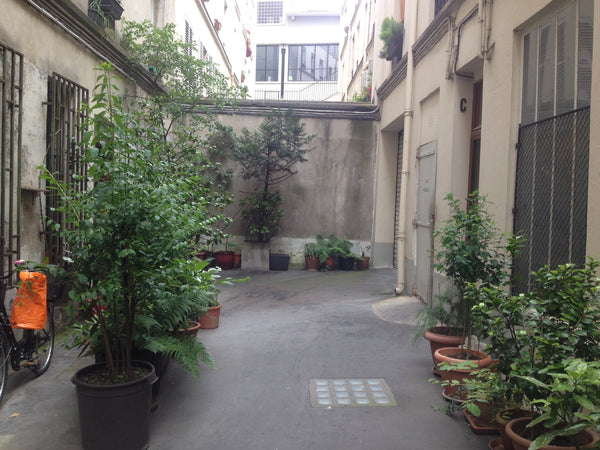 Old typical parisian building<br />One floor available in our triplex : one bedr Paris, France Private Floor 35 meter square in center of Paris Private room in rental unit vacation rental 13583966