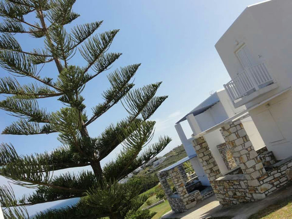 Appartements decorated in typical Greek island Kuklades style with wonderful sea  Panorama Double Studio Room in aparthotel vacation rental 3501456