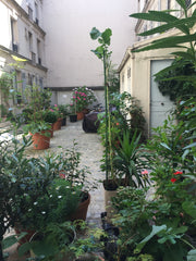 Appartement plein de charme Mairie du 14e Niort, France Appartement plein de charme Mairie du 14e Entire rental unit vacation rental 19744311