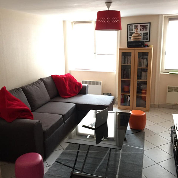 Cet appartement de 35m2 très fonctionnel (cuisine ouverte sur la pièce à vivre), Lyon, France Centre Lyon Terreaux-Hôtel de Ville Entire rental unit vacation rental 8574317