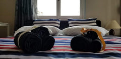 Our studio apartment is located in Keramikos, <br />one of the oldest neighborho Athens, Greece Keramikos Apartment Entire rental unit vacation rental 33868171