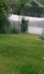 Appartement idéalement situé. Au calme dans une résidence, proche des commodités Cenon, France Appartement T2 Private room in rental unit vacation rental 26078676