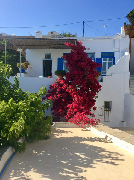 Two-storey traditional clyclad house with neat furnishings and large terrace. Si  Design cycladic house with terrace Cycladic home vacation rental 53653297