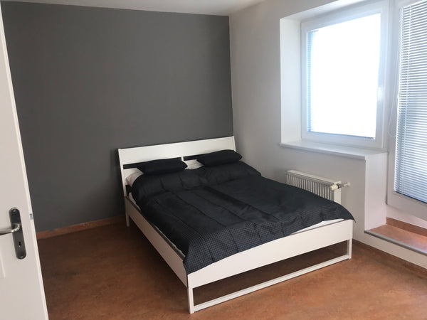 Apartmants is max. 3 persons, size 28 m²:  WC with shower, wardrobe, dining tabl  Queens 7 Apartments A6 Private room in rental unit vacation rental 40814965