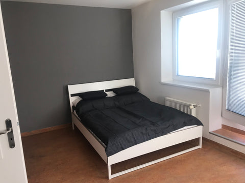 Apartmants is max. 3 persons, size 28 m²:  WC with shower, wardrobe, dining tabl  Queens 7 Apartments A6 Private room in rental unit vacation rental 40814965