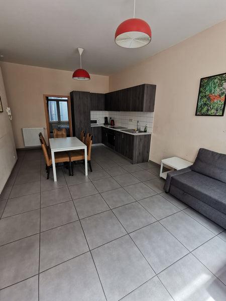 Dear guests, <br />Our apartment is located right in the center of Brussels city Brussels, Belgium Brussels center lovely apartment贰 Entire condo vacation rental 49626786