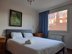 Few minutes away from the vibrant Place Jourdan and the Parc du Cinquantenaire w  Cozy and calm apartment near place Jourdan Entire condo vacation rental 663495410107502507