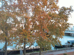 Bienvenue chez nous, on vous loue notre appartement situé dans le quartier de St Lyon, France Appartement quartier St.Georges Entire rental unit vacation rental 754227888309825962