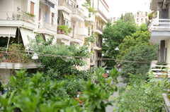 A luxurious fully  renovated appartment near Akropolis. In a walking distance (5 Athens, Greece Jerry's Apartment in  Akropolis Entire rental unit vacation rental 24914858