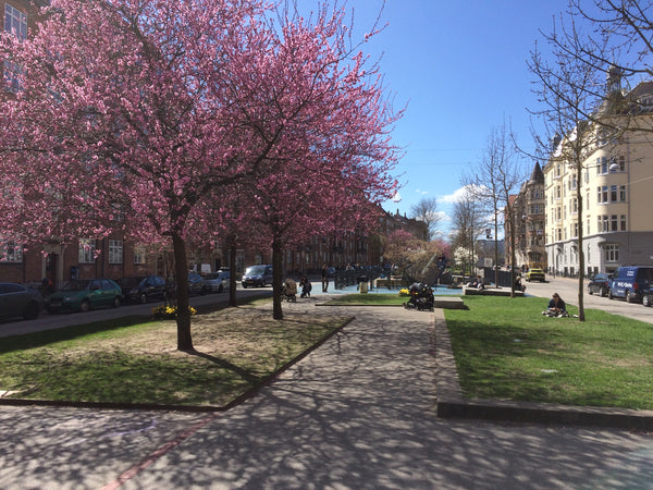 This Copenhagen flat is centrally located on a quite and cosy street in the area Copenhagen, Denmark Great flat for a family trip to Copenhagen Entire rental unit vacation rental 18973085