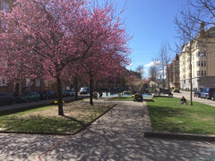 This Copenhagen flat is centrally located on a quite and cosy street in the area Copenhagen, Denmark Great flat for a family trip to Copenhagen Entire rental unit vacation rental 18973085