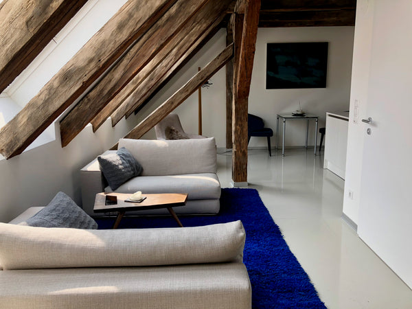 Top sanierte Dachgeschosswohnung mitten im Zentrum Wiens. 45 m2 mit modernem, of  Vienna City Loft Entire rental unit vacation rental 27888585