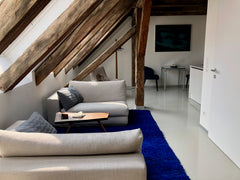 Top sanierte Dachgeschosswohnung mitten im Zentrum Wiens. 45 m2 mit modernem, of  Vienna City Loft Entire rental unit vacation rental 27888585