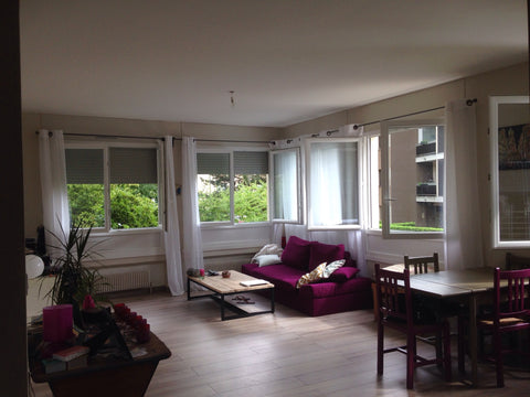 Appartement lumineux ( 6 fenêtres ) avec un grand espace salon/salle à manger/cu Lyon, France T2 de 60m2 lumineux et  clair Entire rental unit vacation rental 8912943