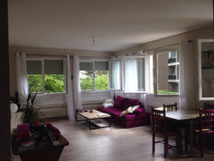 Appartement lumineux ( 6 fenêtres ) avec un grand espace salon/salle à manger/cu Lyon, France T2 de 60m2 lumineux et  clair Entire rental unit vacation rental 8912943