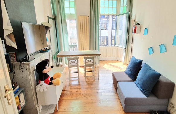 Piccolo ma comodo appartamento nel cuore di Bruxelles. Vicino a negozi, trasport Brussels, Belgium The smart flat Entire rental unit vacation rental 16359477