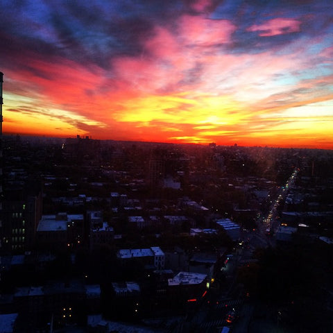 Beautiful studio with a great view of everything from Prospect Park to the Willi New York, NY Rental unit in Brooklyn · Studio · 1 bed · 1 bath Entire rental unit vacation rental 5038299