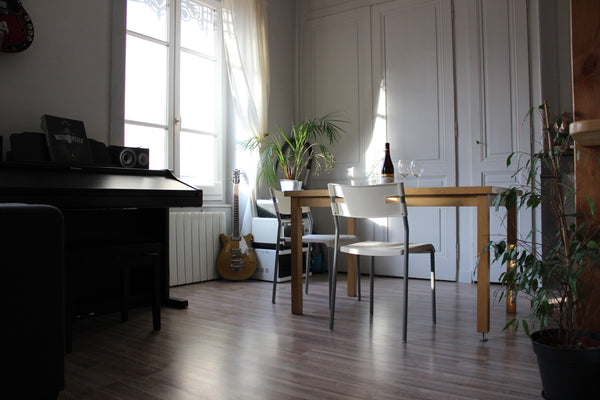 Appartement lumineux, situé à une minute des quais du Rhône, juste en face de l' Lyon, France Appartement Lyon • 7ème Arrondissement Entire rental unit vacation rental 29280651