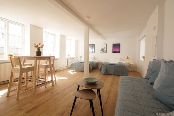 One room flat. With king size or two single beds, kitchen  with toaster, fridge, Copenhagen, Denmark RAP 2 Entire rental unit vacation rental 32136917