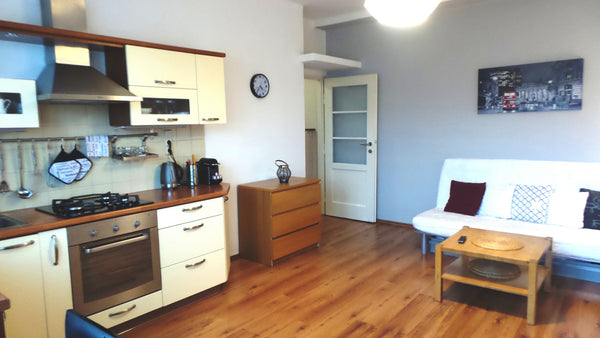 Cozy, clean and fully equipped 40m2 (2 rooms) apartment  in very quiet location. Prague, Czechia 