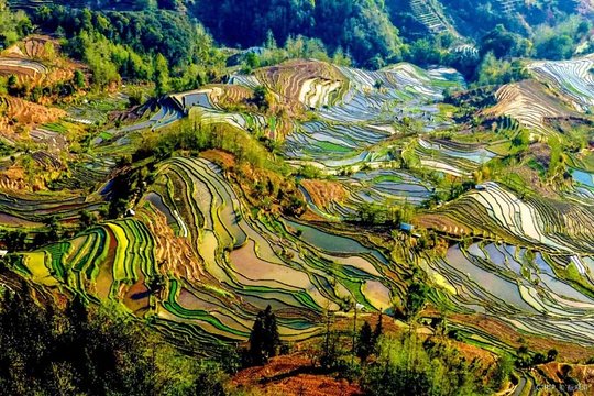 3 Day Private Tour to Jianshui and Yuanyang Hani Rice Terraces from Kunming  Private Tours and Travel Guide Asia Shanghai CITY Kunming Destination Tour