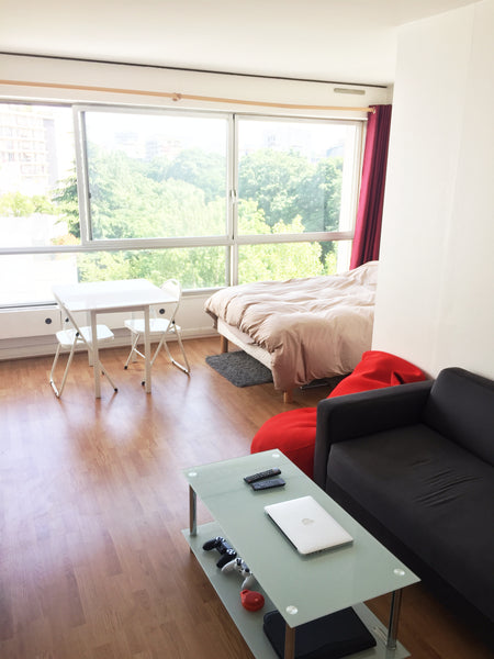 Charmant Studio de 30m2, très lumineux, donnant sur un parc sans vis à vis, dans Paris, France Appartement lumineux, Paris 15ème Entire rental unit vacation rental 19281917