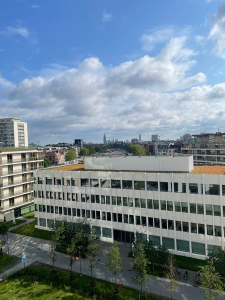 Ruime 2 slaapkamerduplex gelegen te Nieuw zuid met uitzicht over de gehele stad. Delft, Netherlands Modern appartement South of Antwerp Entire condo vacation rental 655490959751329350