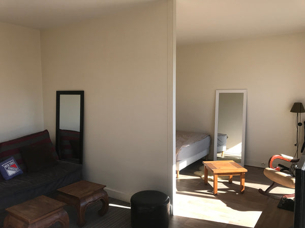 Je vous accueille dans mon spacieux 2 pièces de 46m2 pourvu d’ un salon et d’une Paris, France 2 pièces à Paris  15 eme coup de cœur Entire rental unit vacation rental 28984132