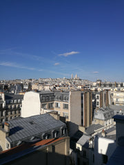 Il s'agit d'un petit deux pièces très lumineux de 18 mètres carré situé dans le  Paris, France Charmant petit deux pièces parisien Entire rental unit vacation rental 18208886