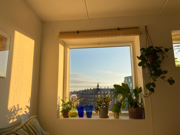 Bright and new studio apartment in the Nørrebro area of central Copenhagen with   Bright studio in Nørrebro, Copenhagen with rooftop Entire rental unit vacation rental 38149804