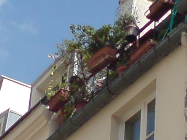 Lovely, peaceful terrace attached to small flat equipped with totally renovated  Paris, France Small cute and green.... Entire rental unit vacation rental 2694027