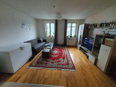 gemütliches zimmer in einer gemütlichen 56m² Wohnung , Küche frei zum Kochen mit Vienna, Austria schönes Zimmer nur für Frauen. Private room in condo vacation rental 54008119