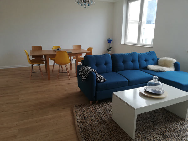 Venez passer un séjour à Bruxelles dans un cadre scandinave, l'appartement est r Mirepoix, France Appartement plein centre style scandinave Entire rental unit vacation rental 35854301