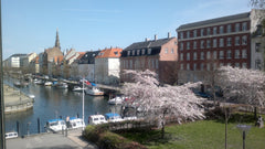 Nice room at beautiful Christianshavn. The room is large, bright and with a fren Copenhagen, Denmark Private room at Christianshavn Private room in rental unit vacation rental 1423825