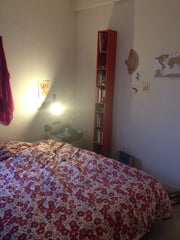 Chambre confortable dans grand appartement lumineux et agréable avec terrasse. D Paris, France Chambre dans grand appt à Paris Private room in rental unit vacation rental 6572584