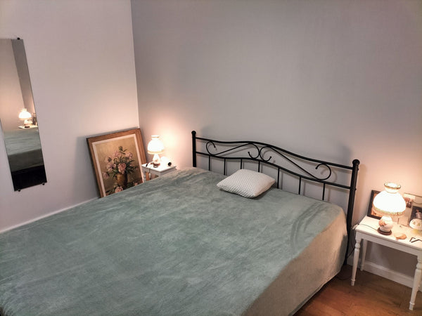 Passez un agréable séjour dans cet hébergement confortable.  Appartement au cœur de Lyon 3 Private room in rental unit vacation rental 647125563078715925