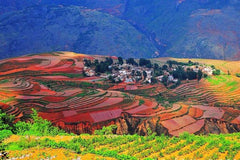 Private Dongchuan Red Land Sightseeing Day Tour from Kunming  Private Tours and Travel Guide Asia Shanghai CITY Kunming Destination Tour Asia Shanghai CITY Kunming